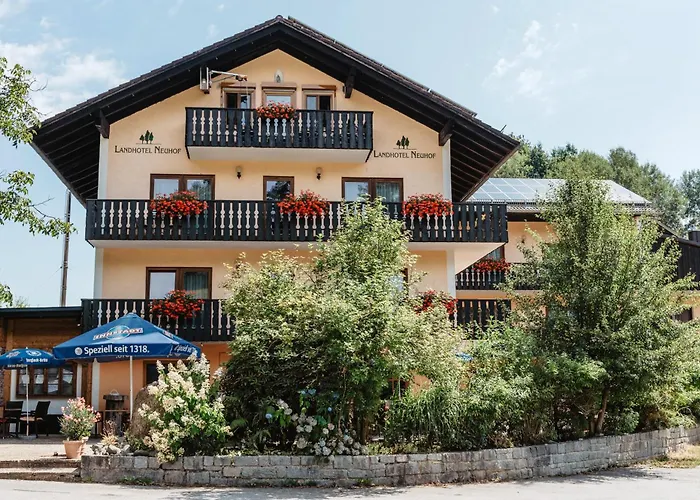 Отель Neuhof 3*